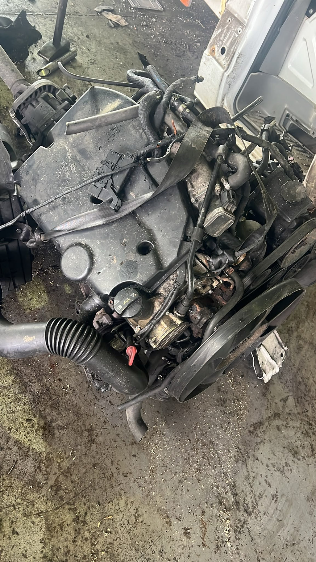 Mercedes Benz Sprinter W906. Motor 646 Gebraucht