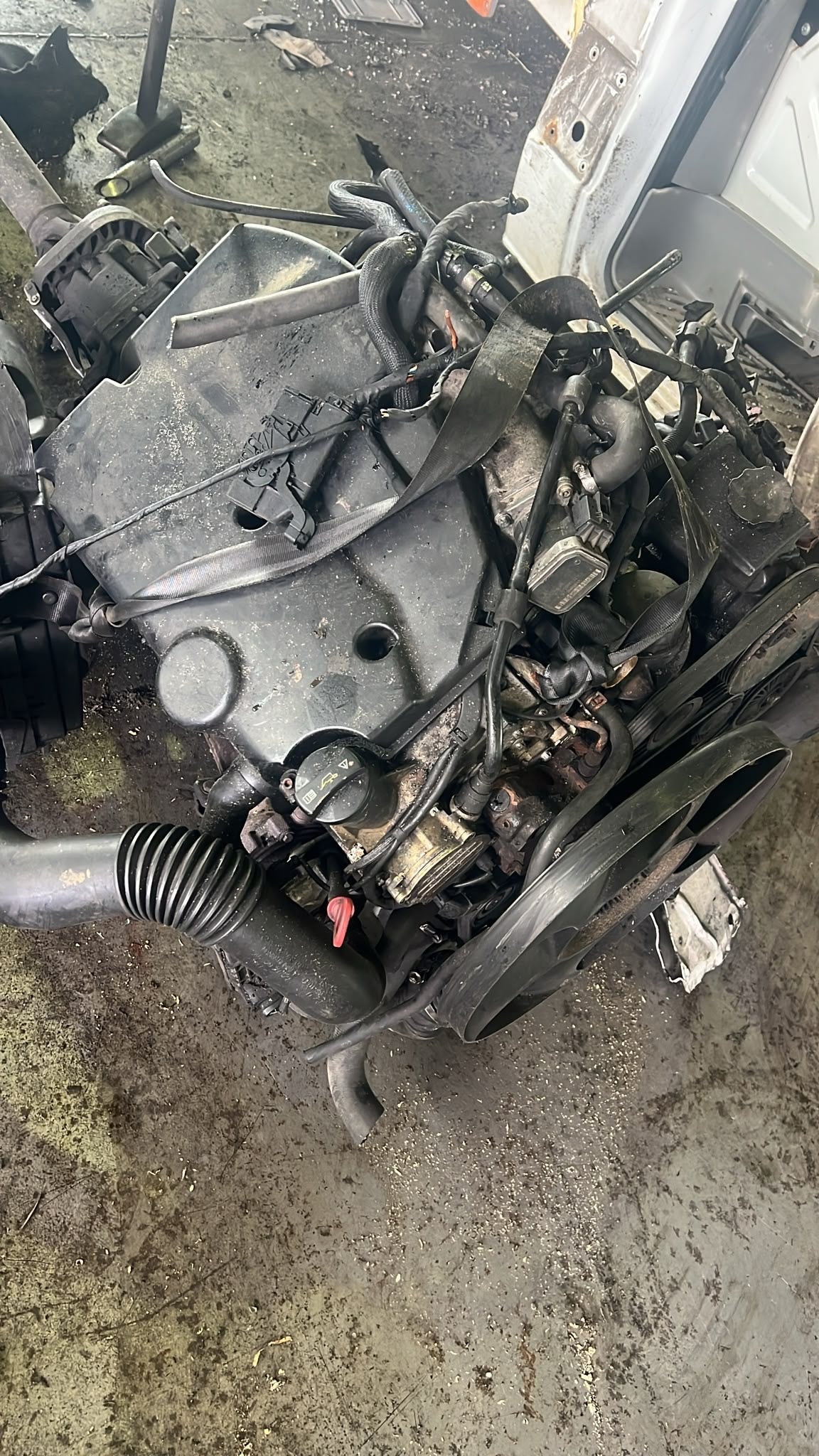 Mercedes Benz Sprinter W906. Motor 646 Gebraucht