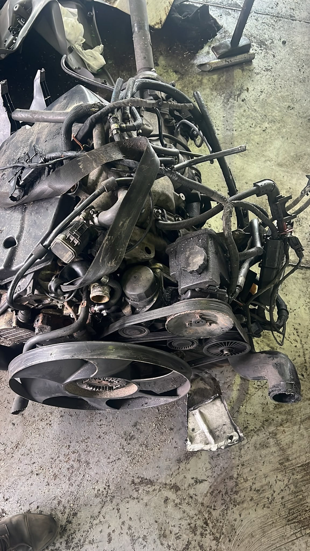 Mercedes Benz Sprinter W906. Motor 646 Gebraucht